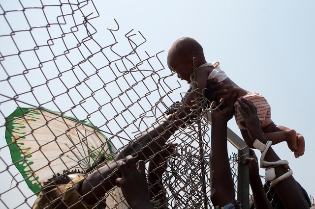 Một em bé được đưa qua hàng rào dây thép trong trại tị nạn tại sân bay Mpoko ở Bangui, Trung Phi.