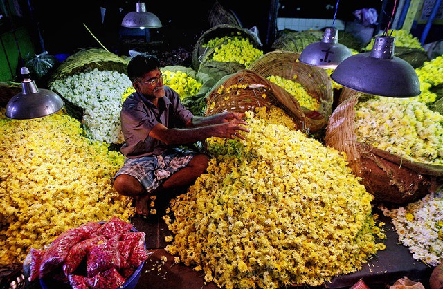 Một người bán hoa chờ khách hàng tới mua ở Chennai, Ấn Độ.