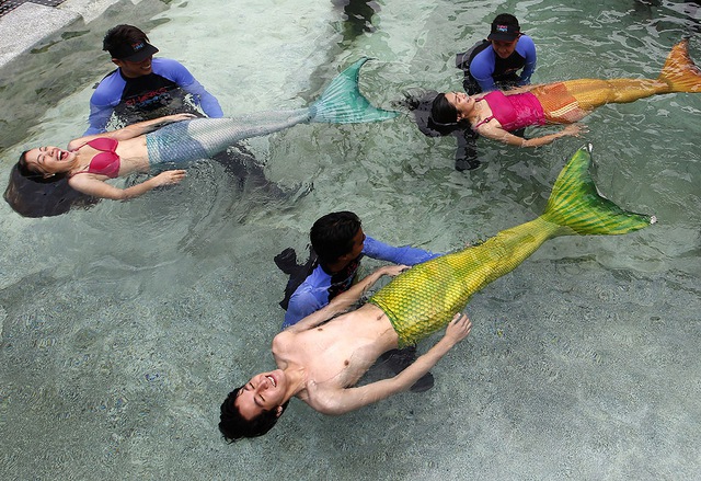 Sinh viên học bơi giống người cá tại công viên hải dương Manila, Philippines.