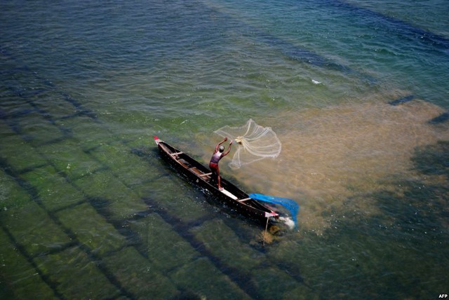 Ngư dân quăng chài đánh cá dưới sông Mohanadi gần Munduli, Ấn Độ.