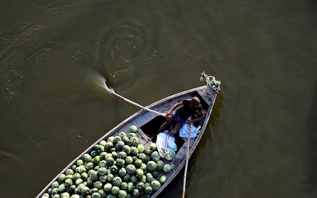 Người nông dân  chèo thuyền chở bí đi bán tại chợ ở ngôi làng Fafamau, gần Allahabad, Ấn Độ.