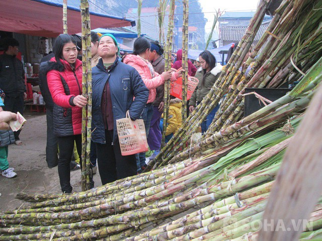 Hàng mía được bày bán từ sáng sớm