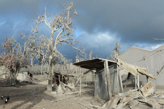 Các ngôi nhà đổ nát và cây bị bao phủ bởi tro bụi phun trào từ núi lửa Sinabung dọc ngôi làng Kutarayat ở Karo, Indonesia.