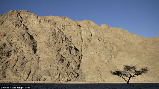 The cinema was built by a French visitor who decided the Sinai would be the perfect location