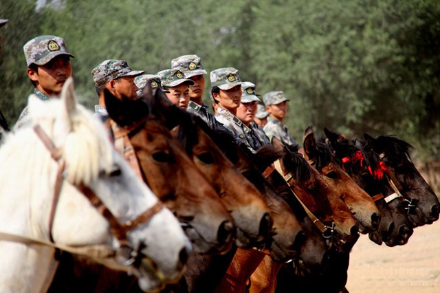 Nhiệm vụ của kỵ binh là tuần tra, chống bạo loạn, hỗ trợ cứu hộ thiên tai...