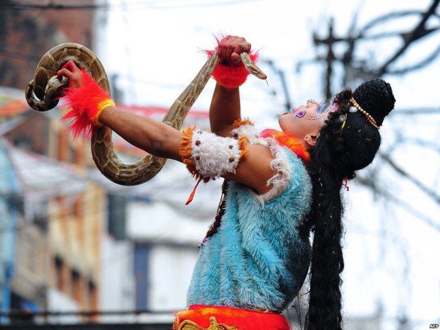 Một người theo đạo Hindu biểu diễn với trăn trong lễ hội Maha Shivaratri, Allahabad, Ấn Độ.