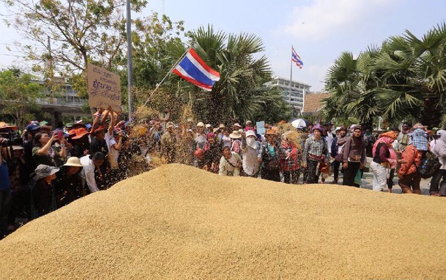 Nông dân đổ thóc ra đường phố ở Bangkok để biểu tình yêu cầu chính phủ Thái Lan trợ giá gạo như đã hứa.