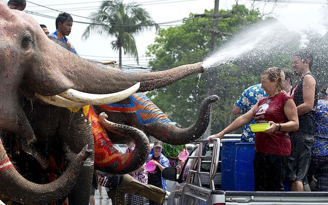 Voi phun nước vào du khách nước ngoài khi họ tham gia lễ hội tế nước Songkran mừng năm mới ở Thái Lan.