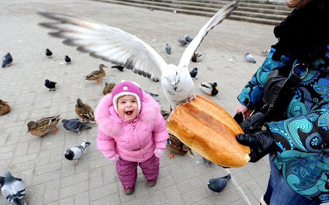 Bé gái trông rất phấn khích khi nhìn mẹ cho chim ăn bánh mì ở Minsk, Belarus.