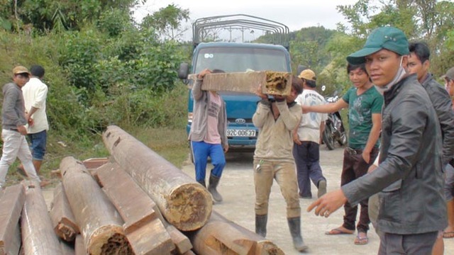 Những cây cột vừa một người ôm được tháo dỡ di chuyển ra khỏi làng Bút Tưa - Ảnh: Trường Trung