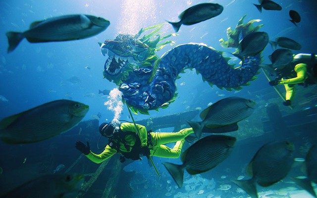 Các thợ lặn biểu diễn múa rồng dưới nước để chào đón Tết Nguyên Đán tại công viên hải dương S.E.A ở Sentosa, Singapore.