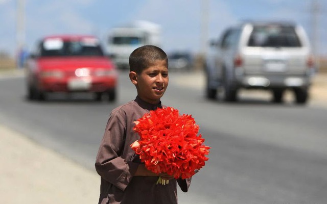 Một cậu bé bán hoa tươi dọc một con đường ở ngoại ô thành phố Kabul, Afghanistan.