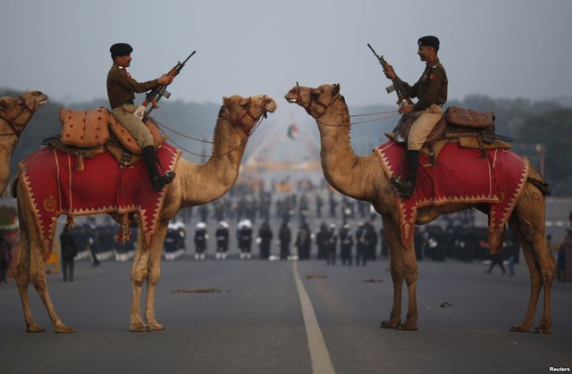 Lực lượng an ninh biên giới Ấn Độ cưỡi lạc đà trong buổi diễn tập chuẩn bị cho Ngày quốc khánh ở thủ đô New Delhi.