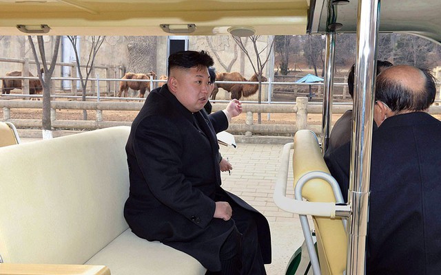 Nhà lãnh đạo Triều Tiên Kim Jong-Un tham quan vườn thú trung ương ở thủ đô Bình Nhưỡng.