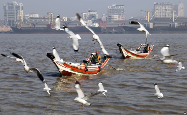 Chim mòng biển bay trên thuyền dưới sông Rangoon tại thành phố Rangoon, Myanmar.