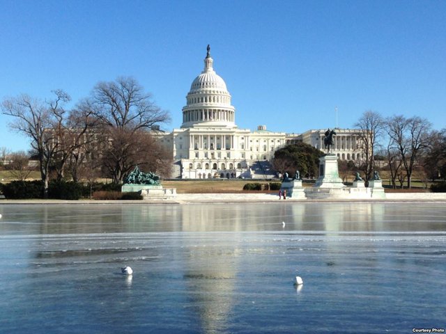 Chim mòng biển đậu trên mặt hồ đóng băng trước Đồi Capitol ở Washington, Mỹ, khi nhiệt độ giảm xuống dưới -10 độ C.
