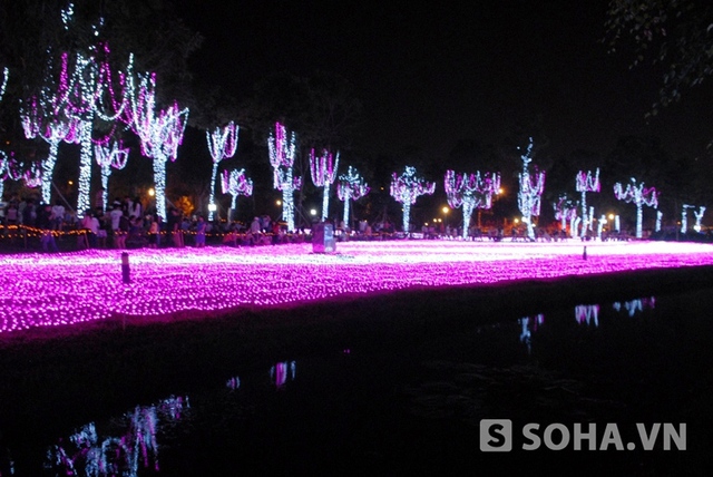 Mùa xuân là được trang trí bằng các bóng đèn màu hồng và trắng tạo nên khung cảnh như một vườn hoa đang nở rực.