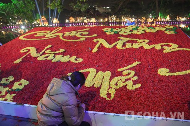 Thảm hoa đẹp lộng lẫy Chúc Mừng Năm Mới.