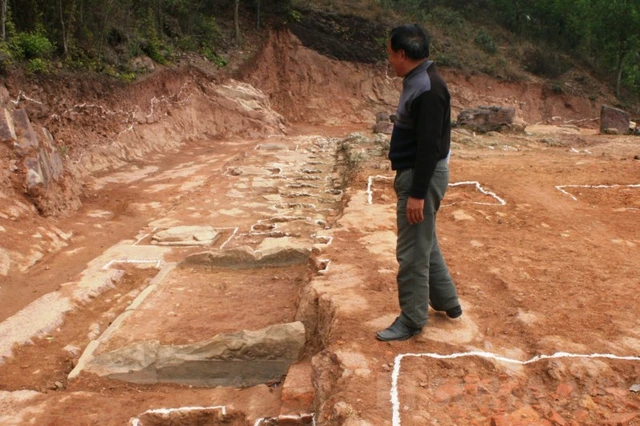 Hàng chục chân cột bằng đá kích thước khoảng 0,75 m x 0,75 m chạm cánh sen xuất hiện rải rác trên các cấp nền.