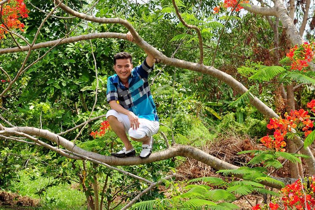 Anh không ngần ngại trèo hẳn lên 1 cành phượng vĩ để tạo dáng chụp ảnh.