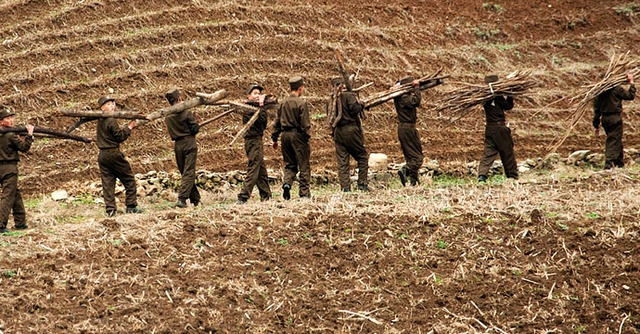  	Ngoài giờ canh gác, binh lính phải đi vác củi về doanh trại để phục vụ sinh hoạt.