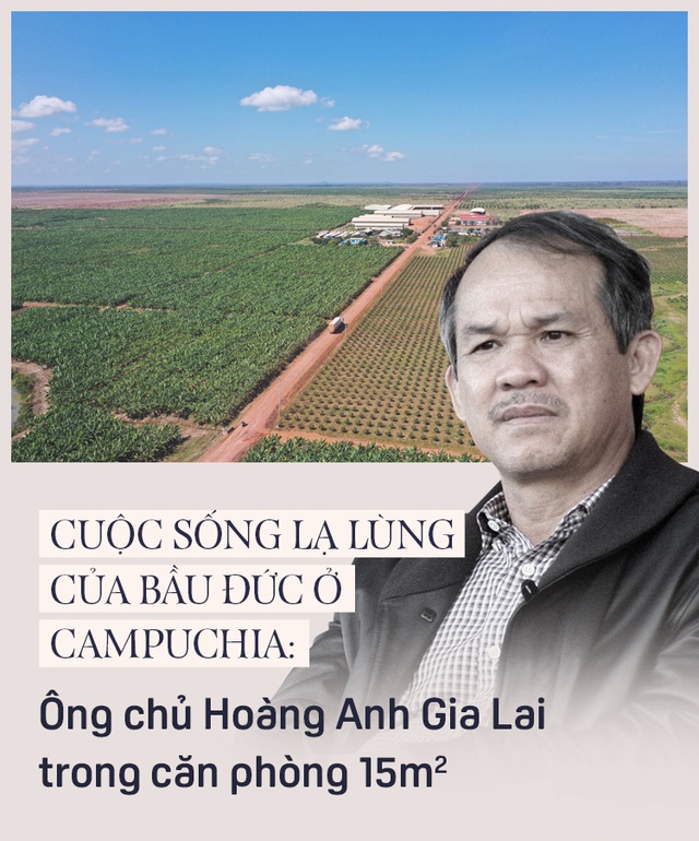 Cuá»™c Sá»'ng Láº¡ Lung Cá»§a Báº§u Ä'á»©c á»Ÿ Campuchia Ong Chá»§ Hoang Anh Gia Lai Trong CÄƒn Phong 15m2