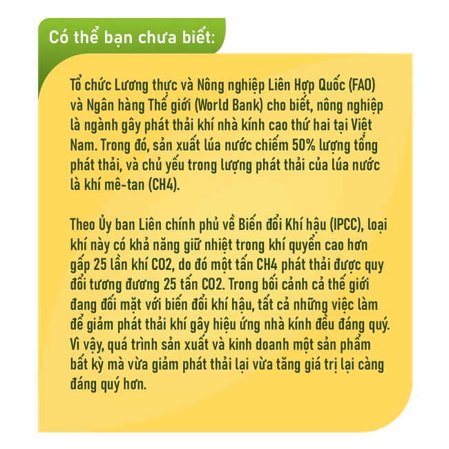 Từ chỉ đạo quyết liệt của Thủ tướng: Một ngành của Việt Nam lãi ròng thêm 100 triệu USD mỗi năm?- Ảnh 5.