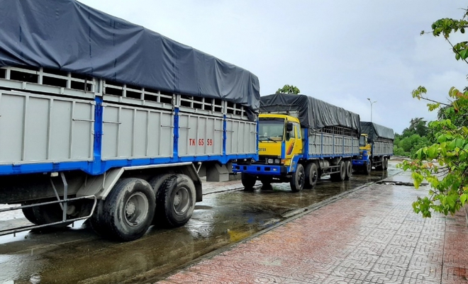 Tạm giữ 3 xe tải sử dụng biển kiểm soát, giấy tờ quân sự giả - Ảnh 1.