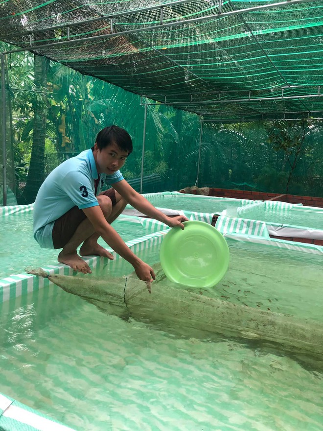 Nuôi hàng trăm bể cá, chàng trai Bến Tre trở thành triệu phú, kiếm 50 triệu đồng mỗi tháng - Ảnh 1.