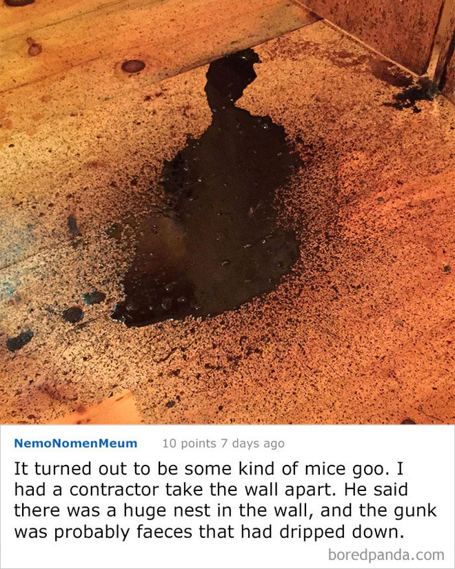 photo-1 photo-1