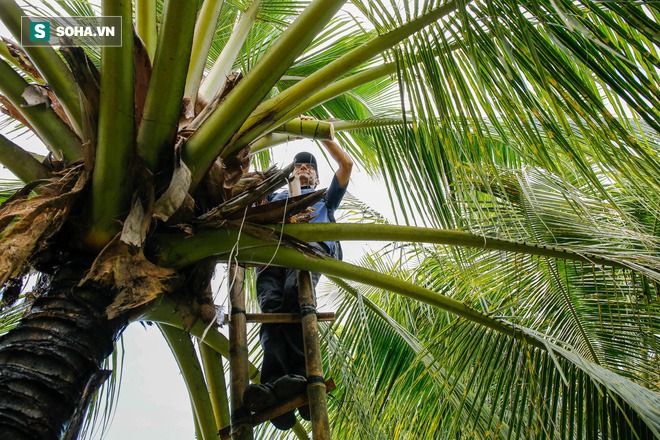 Cặp vợ chồng Việt - Khmer bỏ Sài Gòn về quê làm nghề mát -xa kỳ lạ, giúp nông dân làm giàu gấp 3 lần - Ảnh 6.