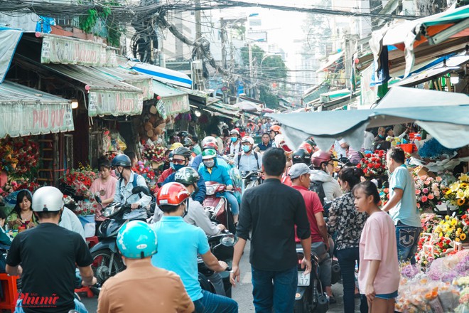 Chợ hoa sỉ lớn nhất Sài Gòn nhộn nhịp khách mua lẻ - Ảnh 2.