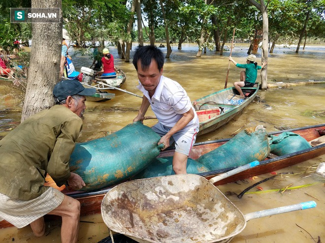 Tường trình từ vùng rốn lũ Lệ Thủy: Nhà sập, tay trắng, không còn nước mắt để khóc - Ảnh 10. Tường trình từ vùng rốn lũ Lệ Thủy: Nhà sập, tay trắng, không còn nước mắt để khóc - Ảnh 10.