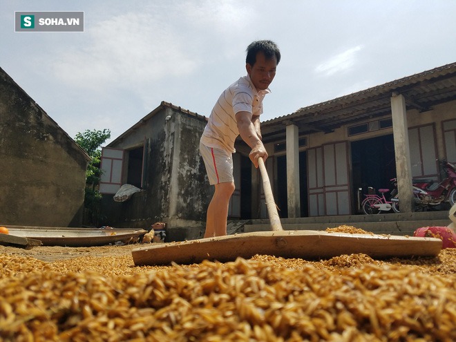 Tường trình từ vùng rốn lũ Lệ Thủy: Nhà sập, tay trắng, không còn nước mắt để khóc - Ảnh 14. Tường trình từ vùng rốn lũ Lệ Thủy: Nhà sập, tay trắng, không còn nước mắt để khóc - Ảnh 14.