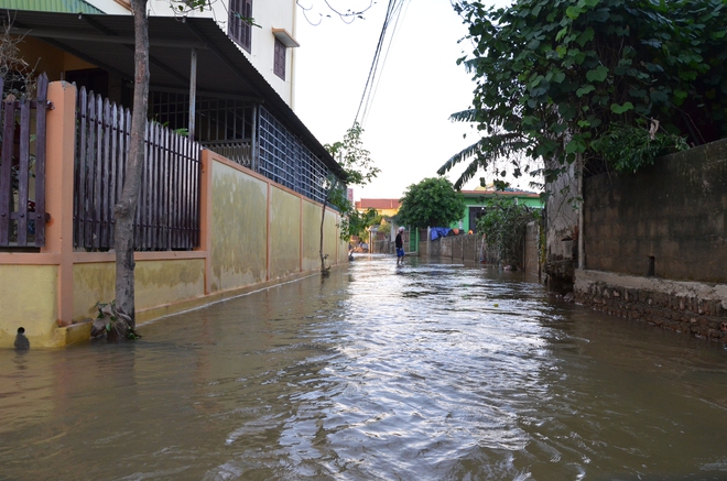 Lũ rút, dân Quảng Bình lao đao vì thóc lúa mọc mầm: Thóc này giờ chỉ phơi cho gà vịt ăn thôi - Ảnh 9.