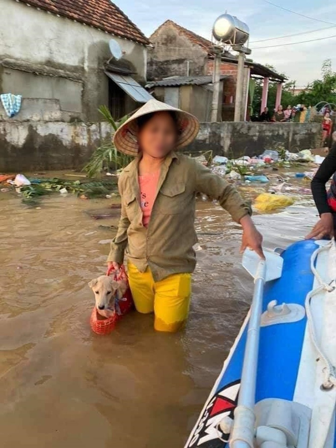 Xúc động hình ảnh người phụ nữ lội trong nước lũ, không quên xách theo chú chó trong chiếc làn nhỏ - Ảnh 1.