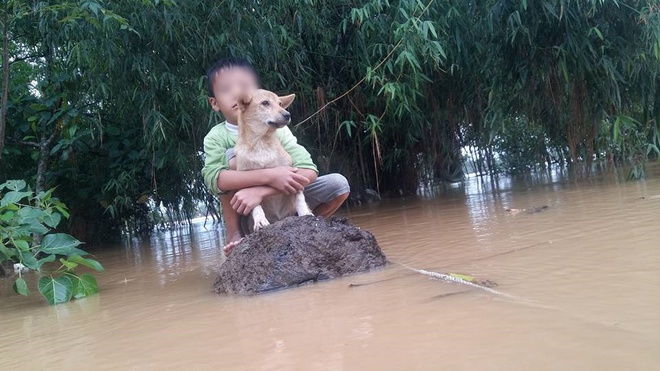 Xúc động hình ảnh người phụ nữ lội trong nước lũ, không quên xách theo chú chó trong chiếc làn nhỏ - Ảnh 7.