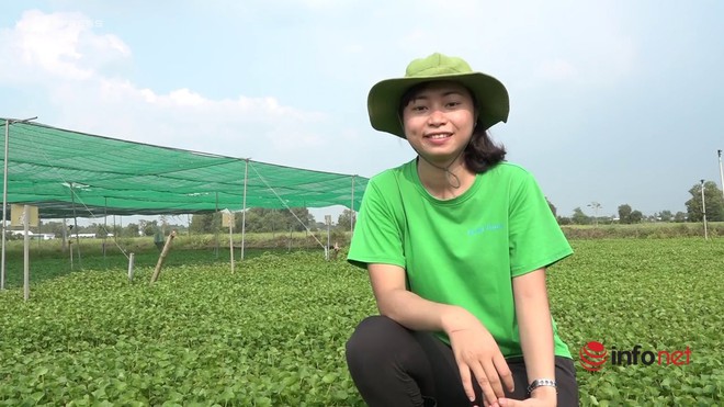 Cô gái trồng rau má xuất khẩu đi châu Âu từng không dám gọi vốn vì sợ thất bại - Ảnh 2.