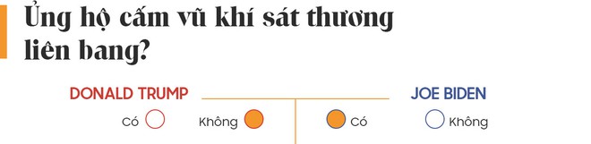 Yes or No: Cuộc chiến về chính sách giữa Donald Trump và Joe Biden - Ảnh 22.