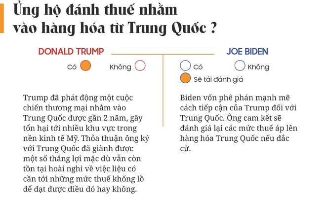 Yes or No: Cuộc chiến về chính sách giữa Donald Trump và Joe Biden - Ảnh 8.