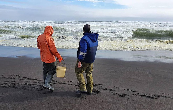 Thảm họa Kamchatka - Nga: Gần như tất cả sự sống dưới đáy biển bị xóa sổ - Ảnh 3.