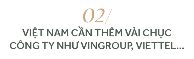Viện trưởng VIAS: Cần vài chục công ty như Vingroup, Viettel... mới đủ sức nâng tầm kinh tế Việt Nam - Ảnh 4.