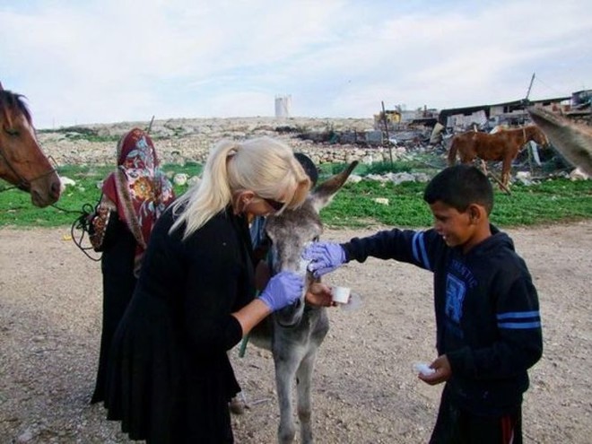 Người phụ nữ Anh chi đến 185 triệu đồng/tháng để giải cứu những con lừa ở... Israel - Ảnh 2.