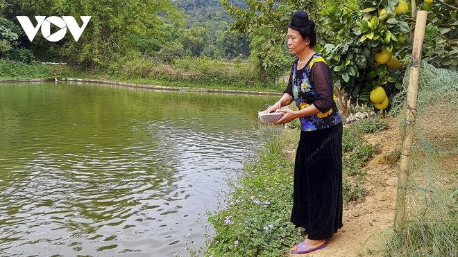 Học nhau cách làm giàu, nông dân có thu nhập hàng trăm triệu đồng - Ảnh 1.