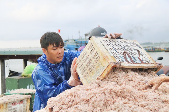 Ngư dân Hà Tĩnh trúng đậm ruốc biển, thu tiền triệu mỗi ngày - Ảnh 5.