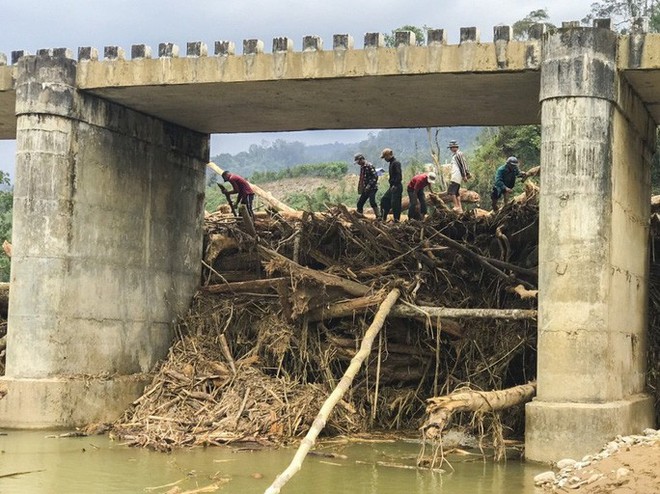 Gỗ khai thác trái phép trôi vây kín chân cầu sau bão số 9 - Ảnh 3.