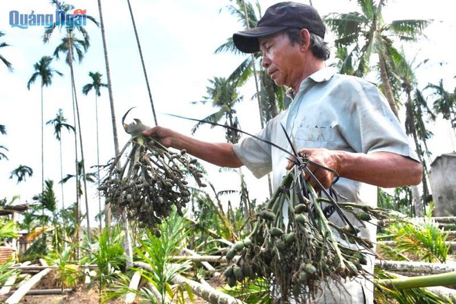 Cau ngã… người đau - Ảnh 2.