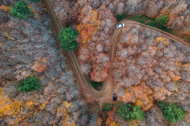 24h qua ảnh: Cô gái đi trong công viên phủ tuyết trắng ở Bulgaria - Ảnh 6.