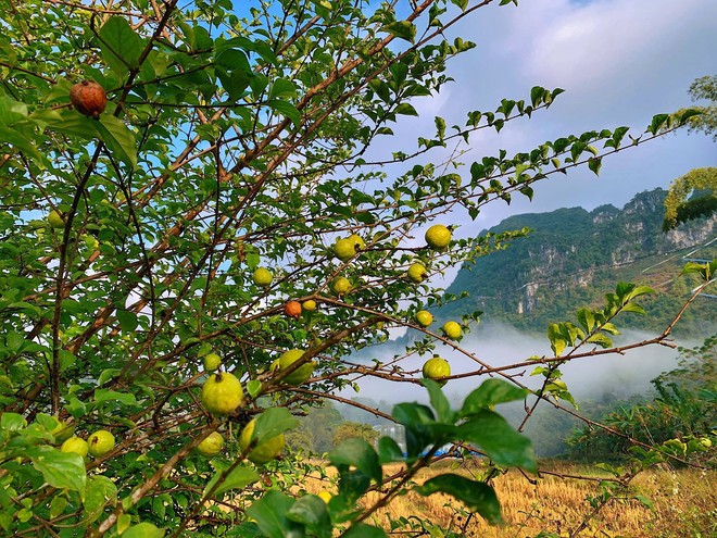 Non nước Cao Bằng đẹp như tranh vẽ qua loạt ảnh của cô gái thích xê dịch - Ảnh 11.