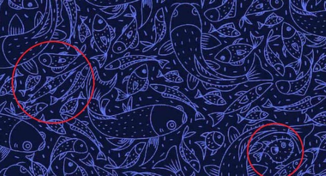 Thách thức con mắt 5 giây: Đố bạn tìm ra cá kiếm và cá nóc trong bức tranh rối mắt - Ảnh 1.